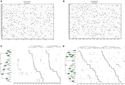 Detection of Ludic Patterns in Two Triadic Motor Games and Differences in Decision Complexity